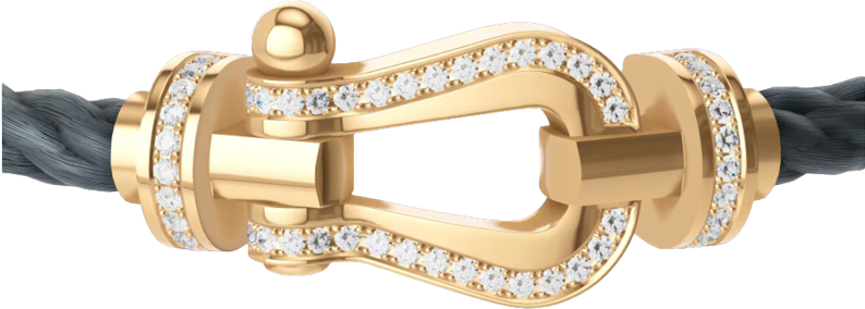 Bracelet Force 10 ( Grand Modèle )