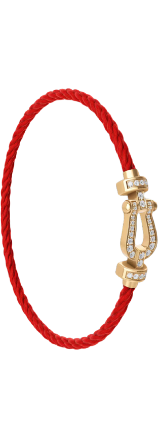 Force 10 Bracelet (Medium Model)