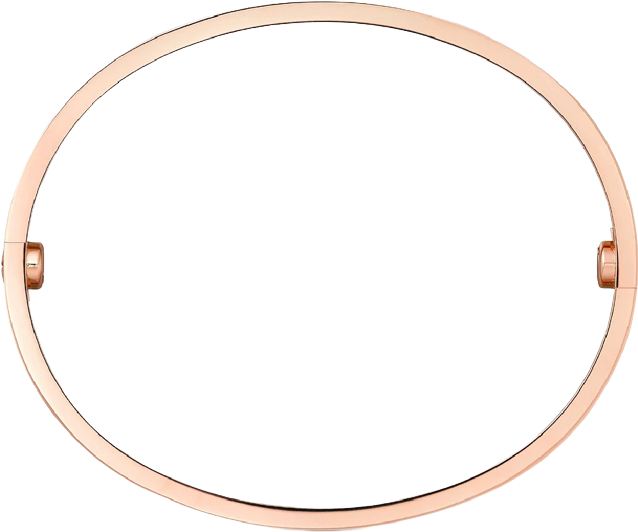 BRACELET CLOU PETIT MODÈLE ( VERITABLE ROSE GOLD )