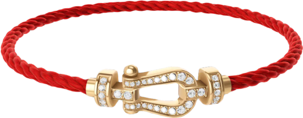 Force 10 Bracelet (Medium Model)