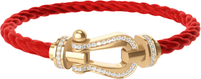 Force 10 Bracelet (Large model)