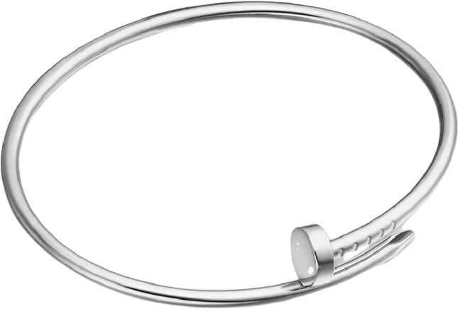 BRACELET CLOU ( VERITABLE OR GRIS )