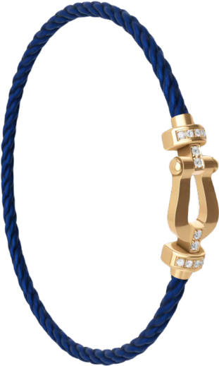 Force 10 Bracelet (Medium Model) 